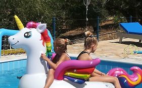 Hakuna Matata Holidays Agalia With Airco & Pool In Greek Olive Grove